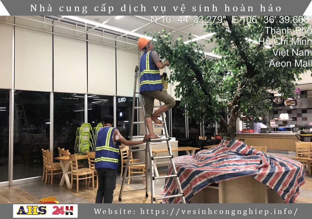 Vệ sinh lá cây giả cho TTTM