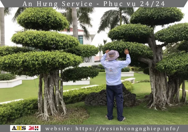 Cắt tỉa cành cây