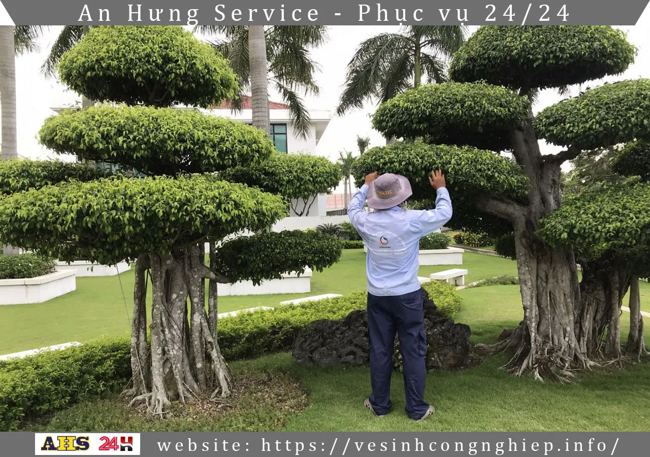 Cắt tỉa cành cây