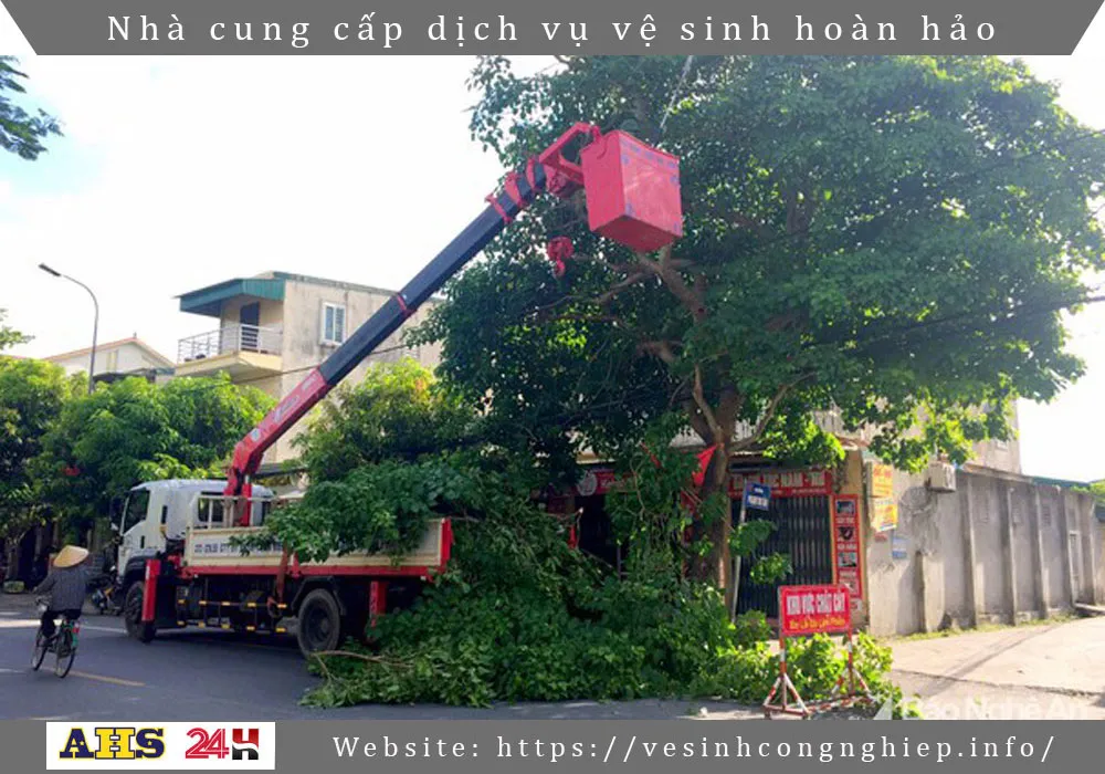 Dich vu chat cay