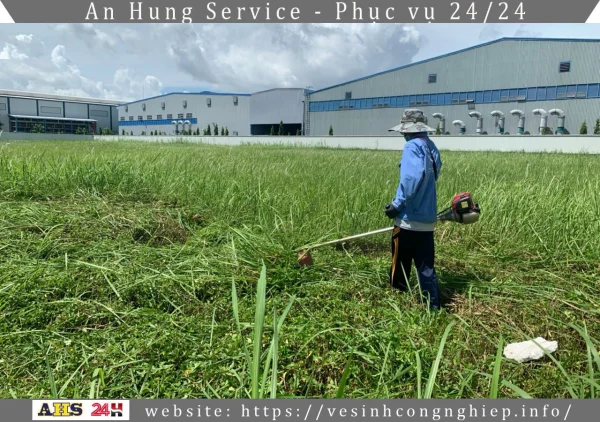 Dịch vụ cắt cỏ