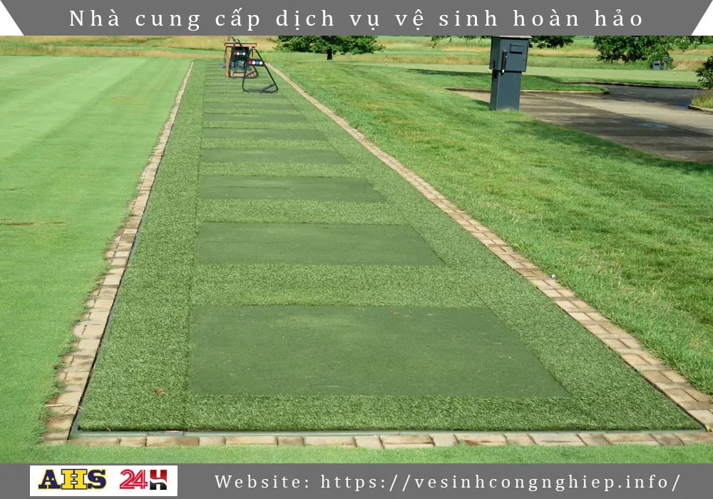 Dich vu cat co