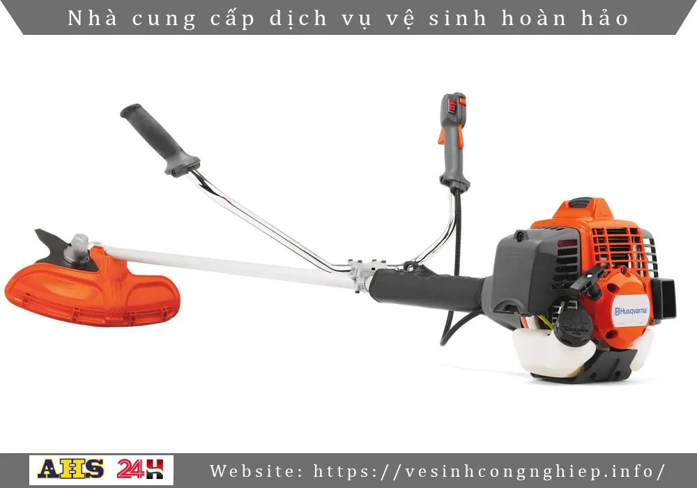 Dich vu cat co