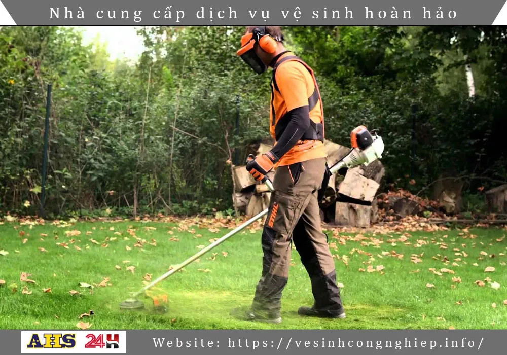 Dich vu cat co