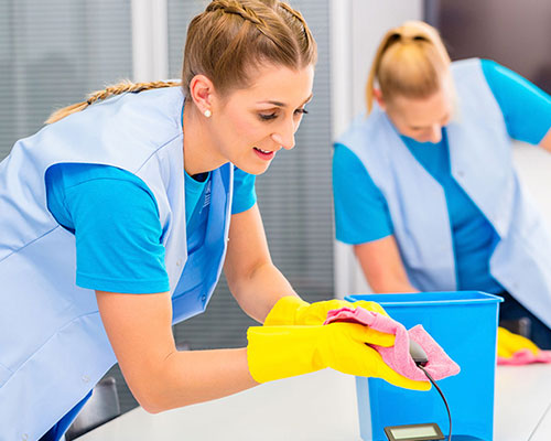 Nhân viên vệ sinh văn phòng của nhà xưởng